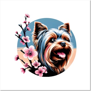 Yorkshire Terrier Enjoys Spring Amid Cherry Blossoms Posters and Art